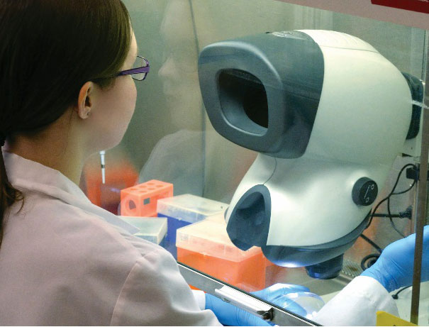 Técnico de laboratório com óculos usando microscópio Mantis dentro da cabine de fluxo laminar